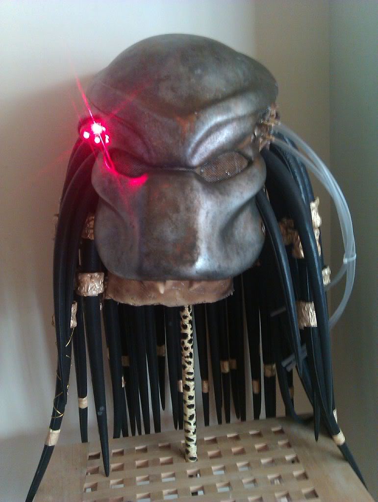 IMAG0913.jpg