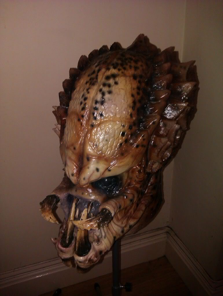 IMAG0934.jpg