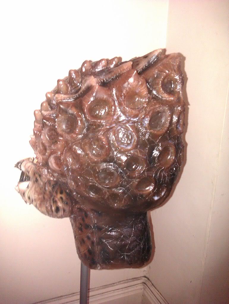 IMAG0936.jpg