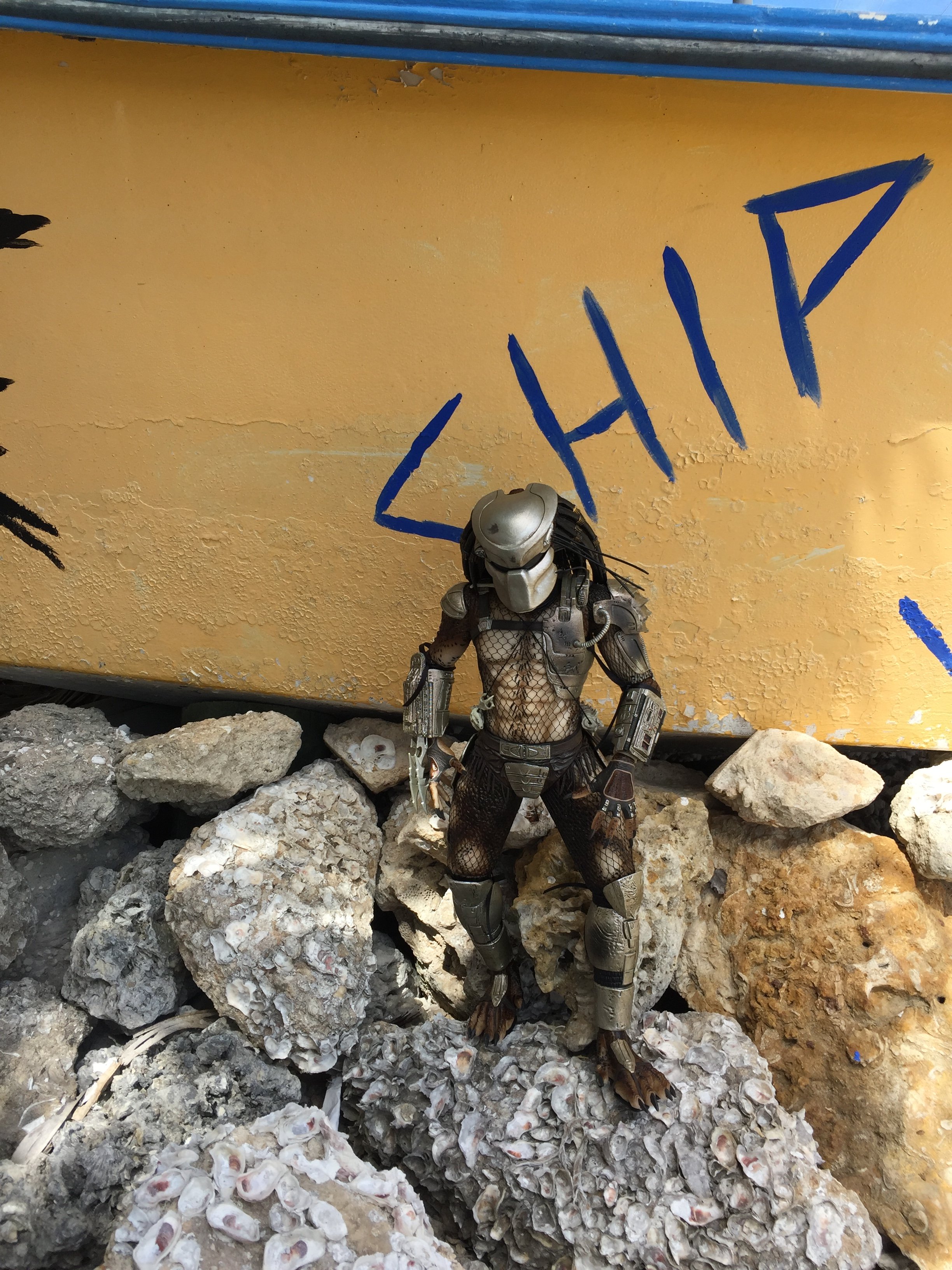 image.jpeg