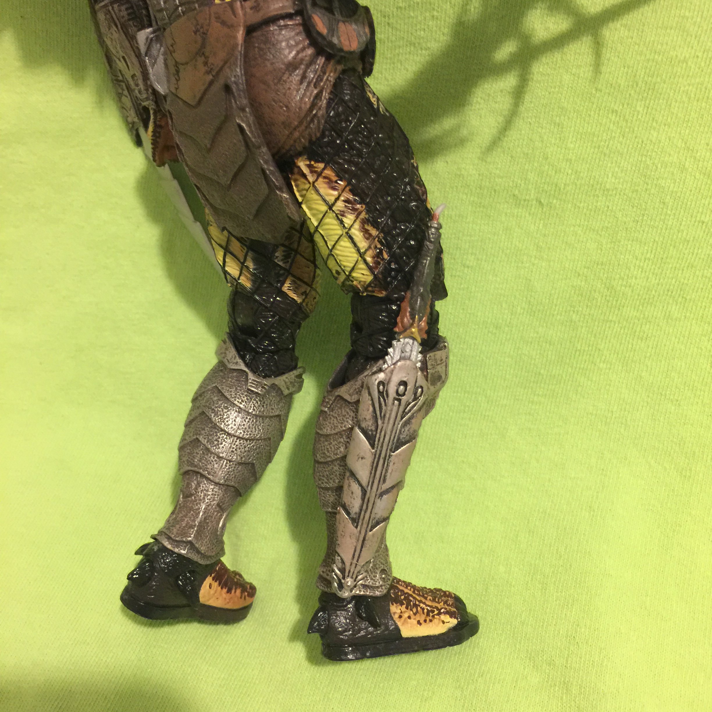 image.jpeg