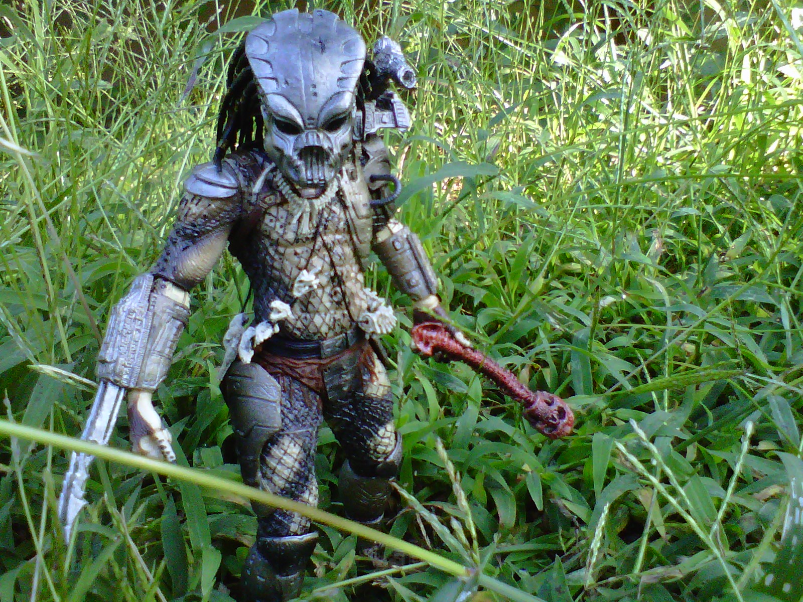 IMG-20110909-00066.jpg