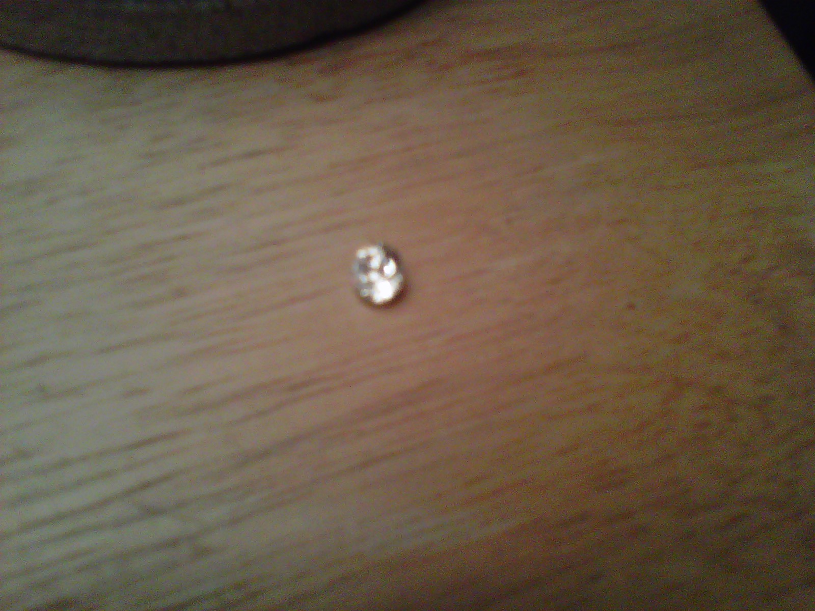 IMG-20111025-00282.jpg