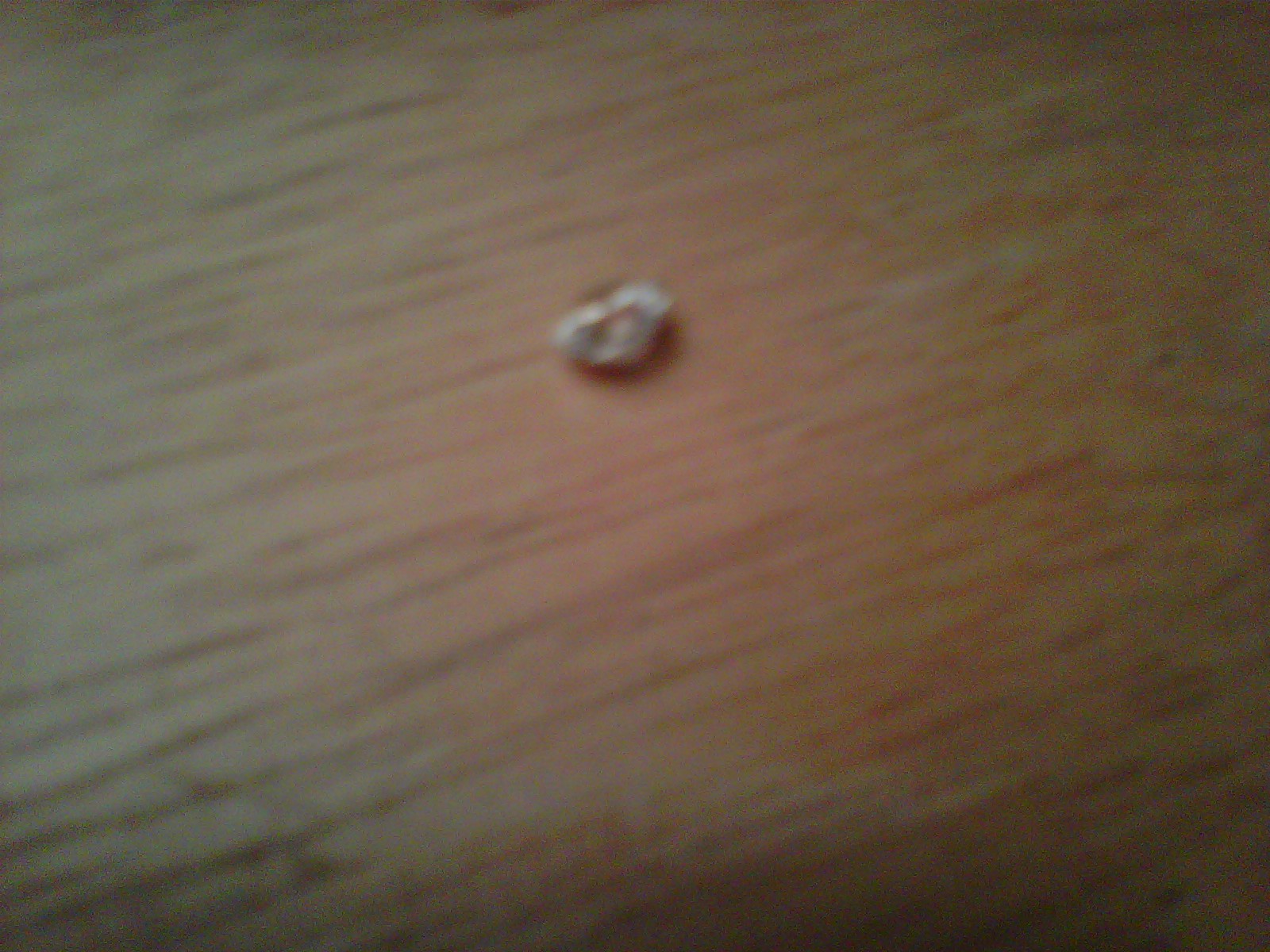 IMG-20111025-00283.jpg