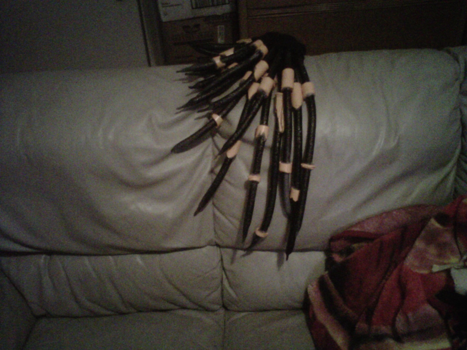 IMG-20111028-00290.jpg