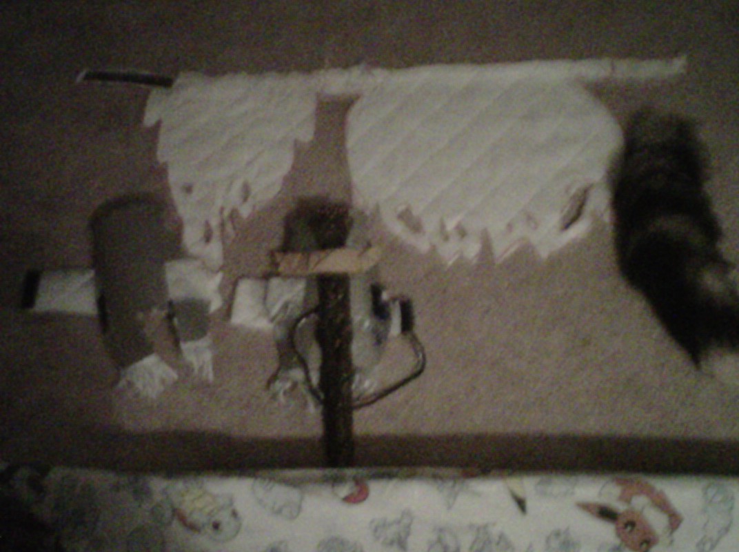 IMG-20111101-00299.jpg