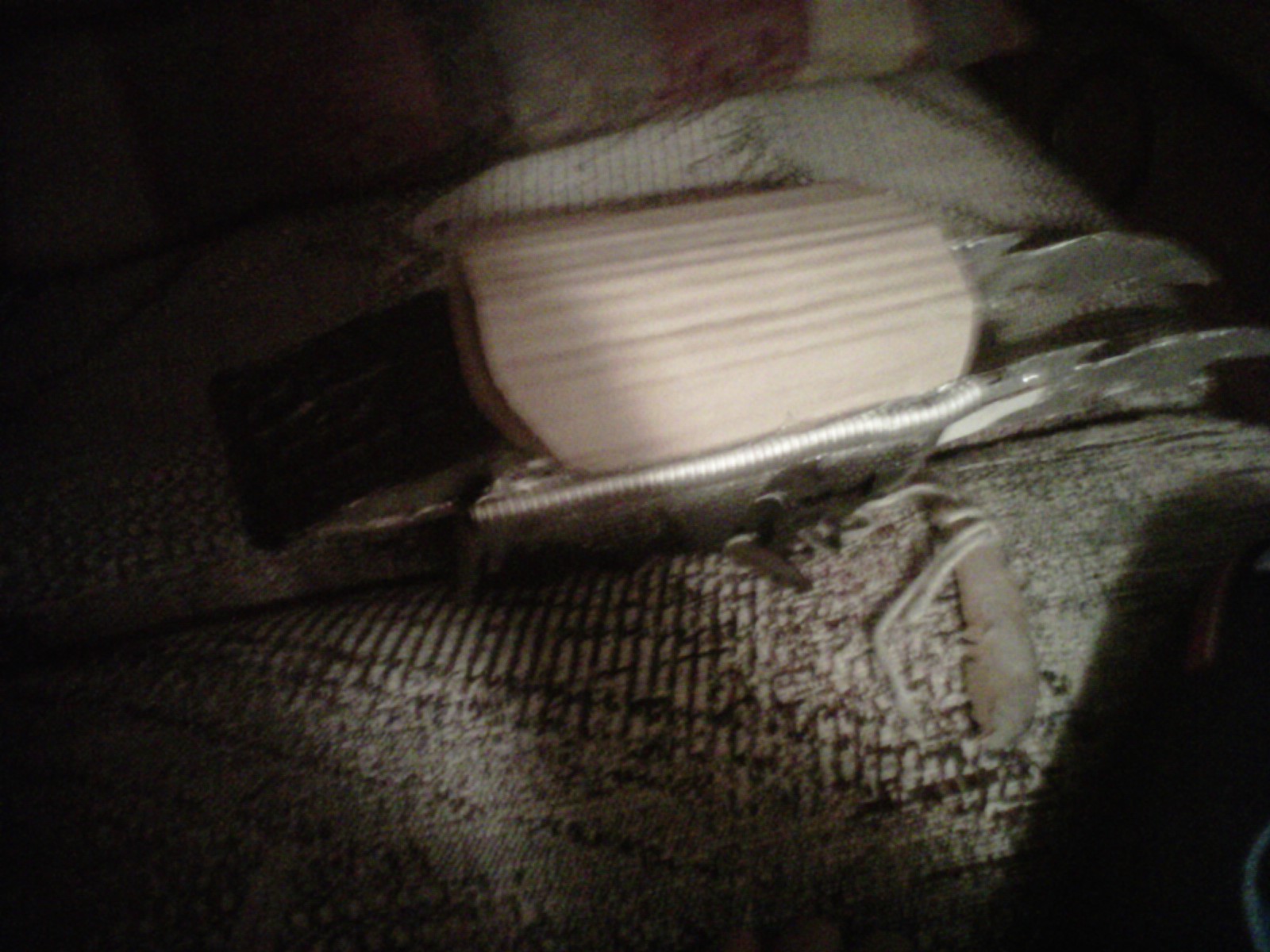 IMG-20111204-00327.jpg