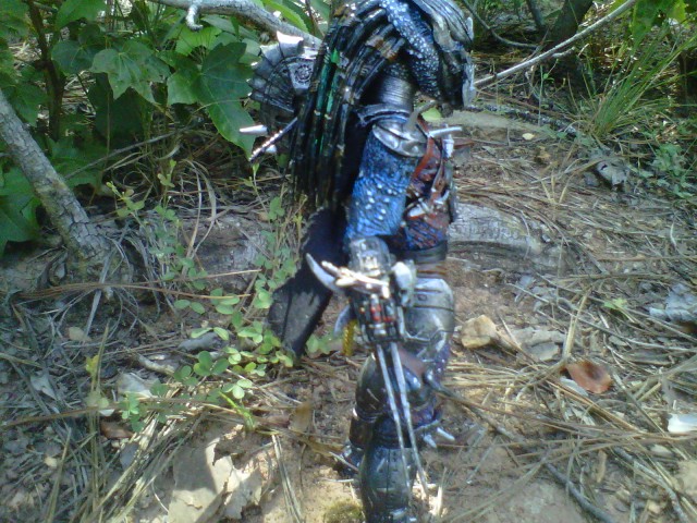 IMG-20120622-01964.jpg