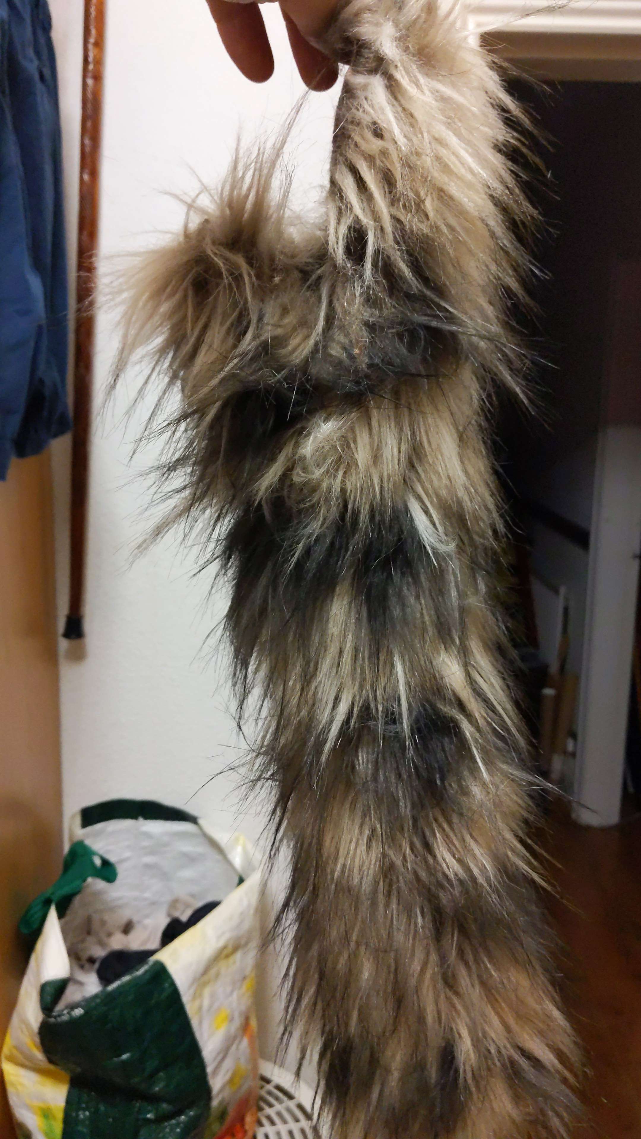 IMG-20231002-WA0017.jpeg