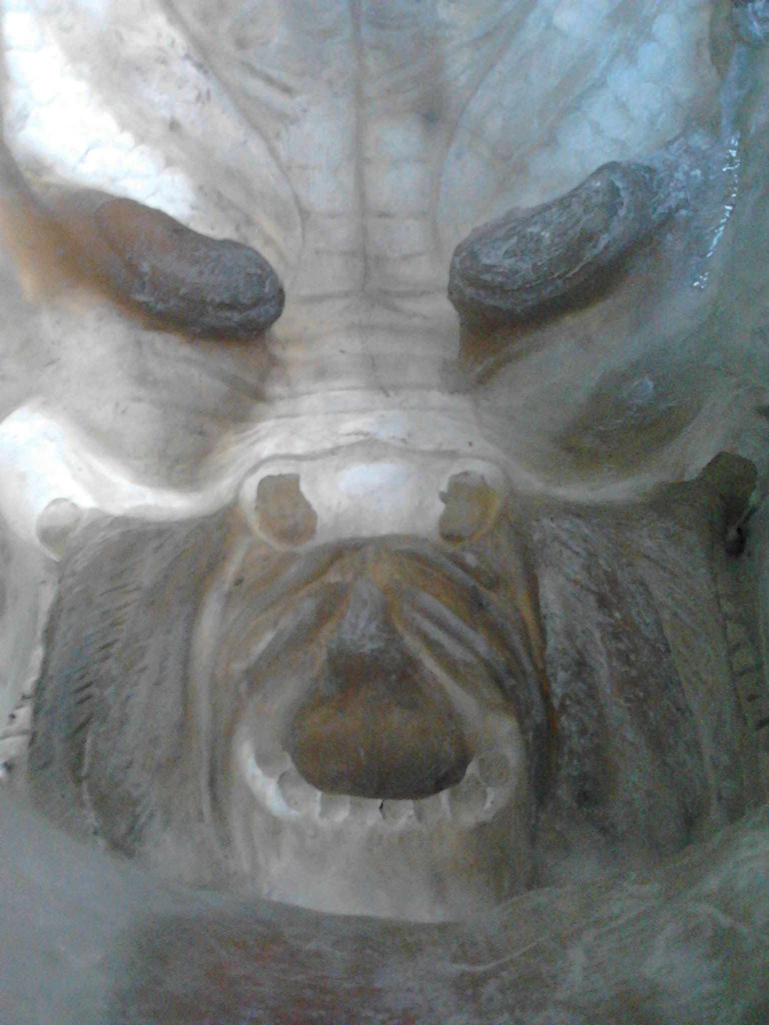 IMG00019.jpg