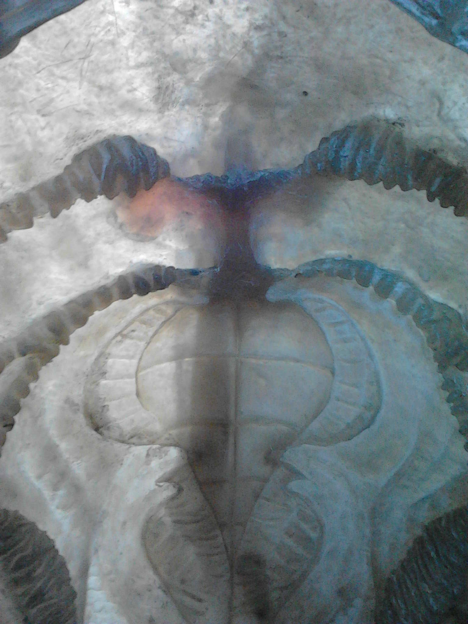 IMG00020.jpg