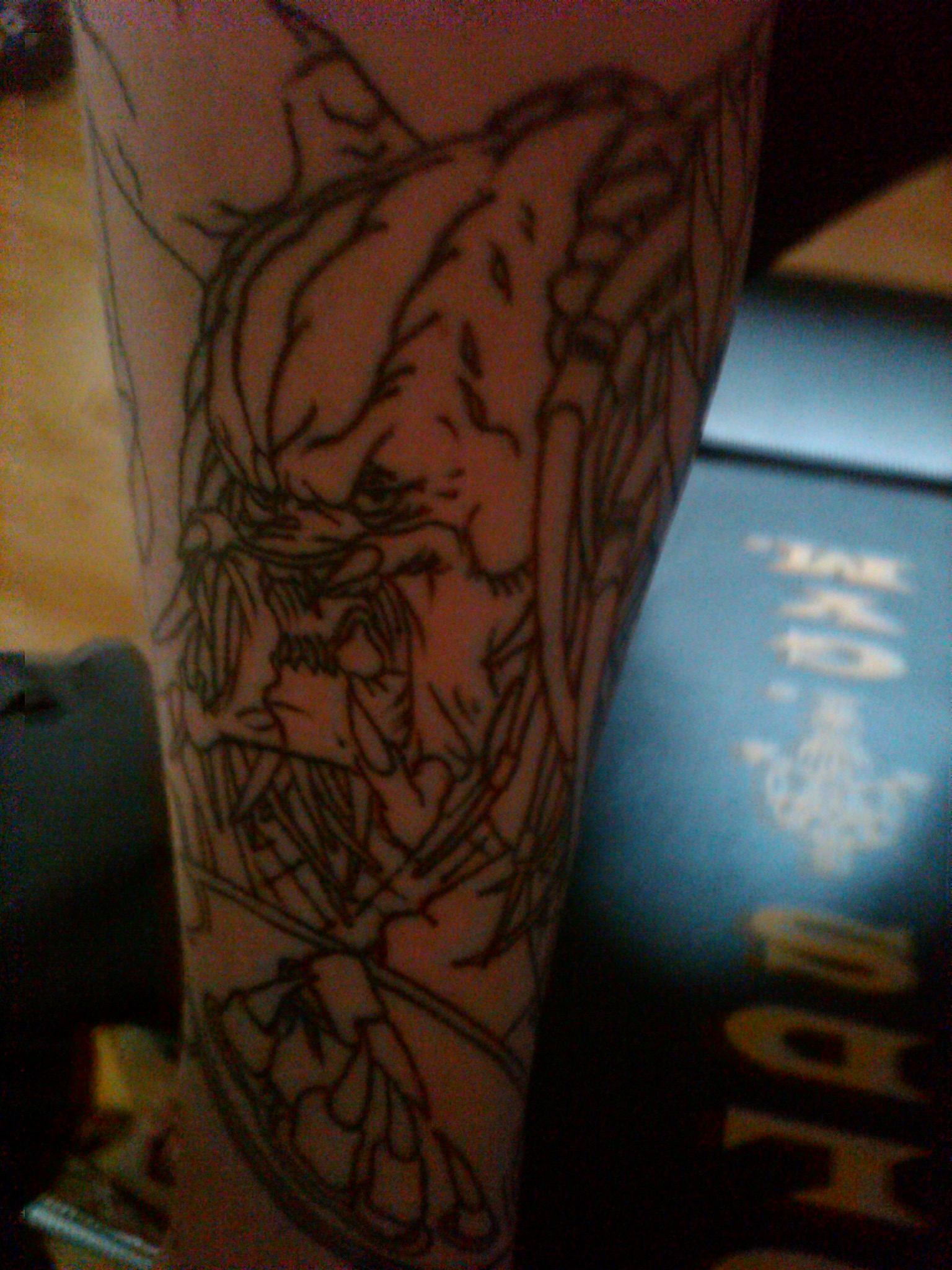 IMG00194_20110118_1050.jpg