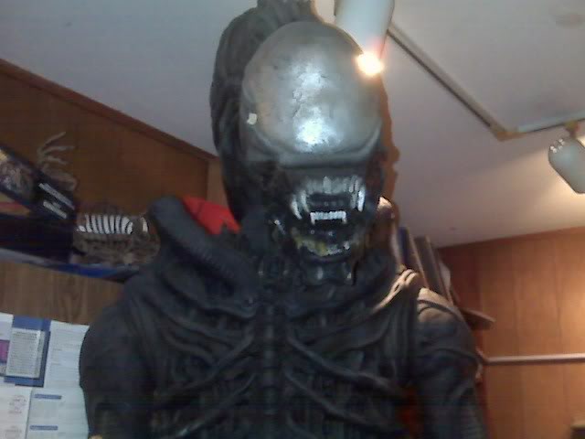 IMG00195.jpg