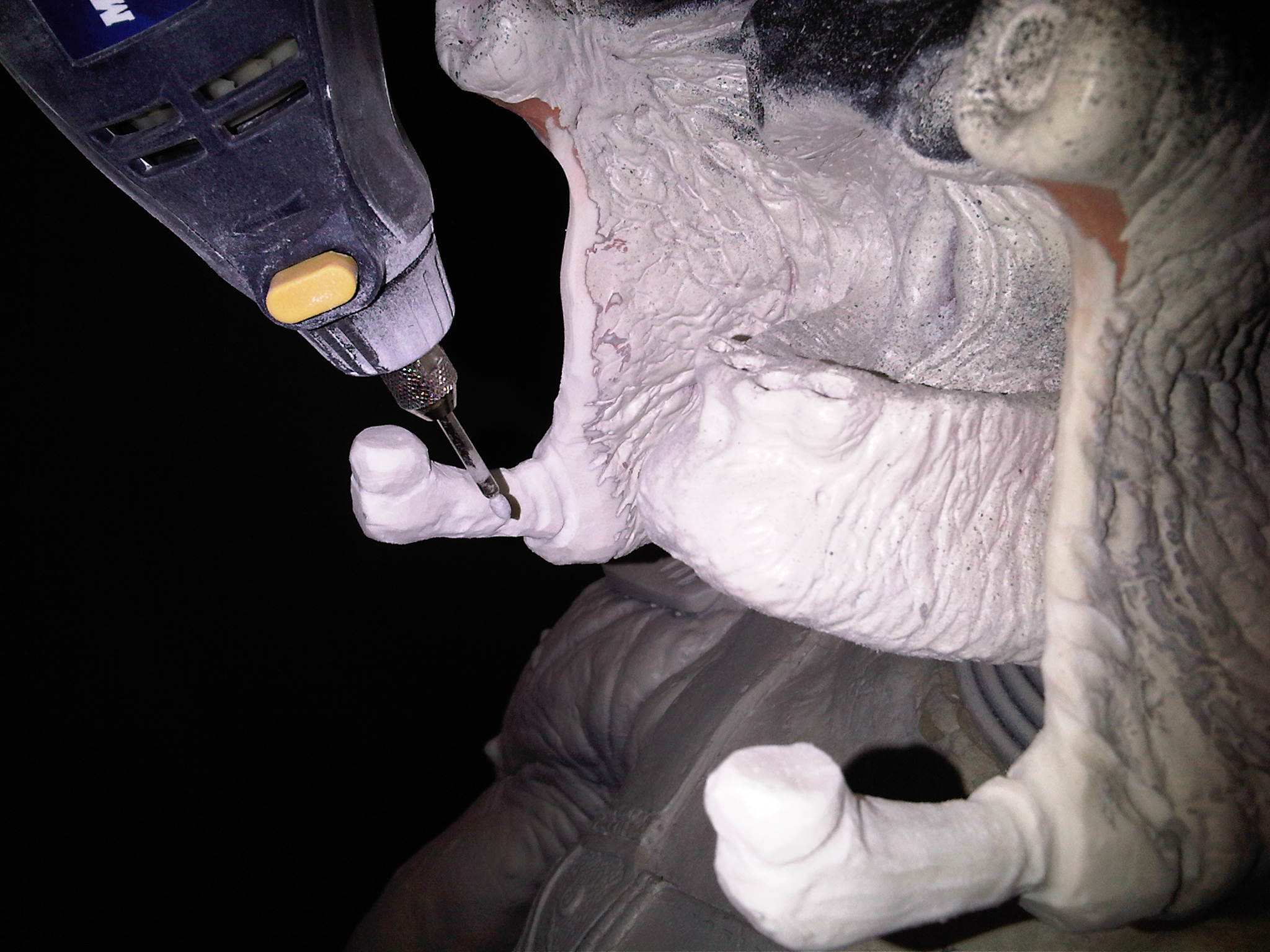 IMG00728_20110110_1941.jpg