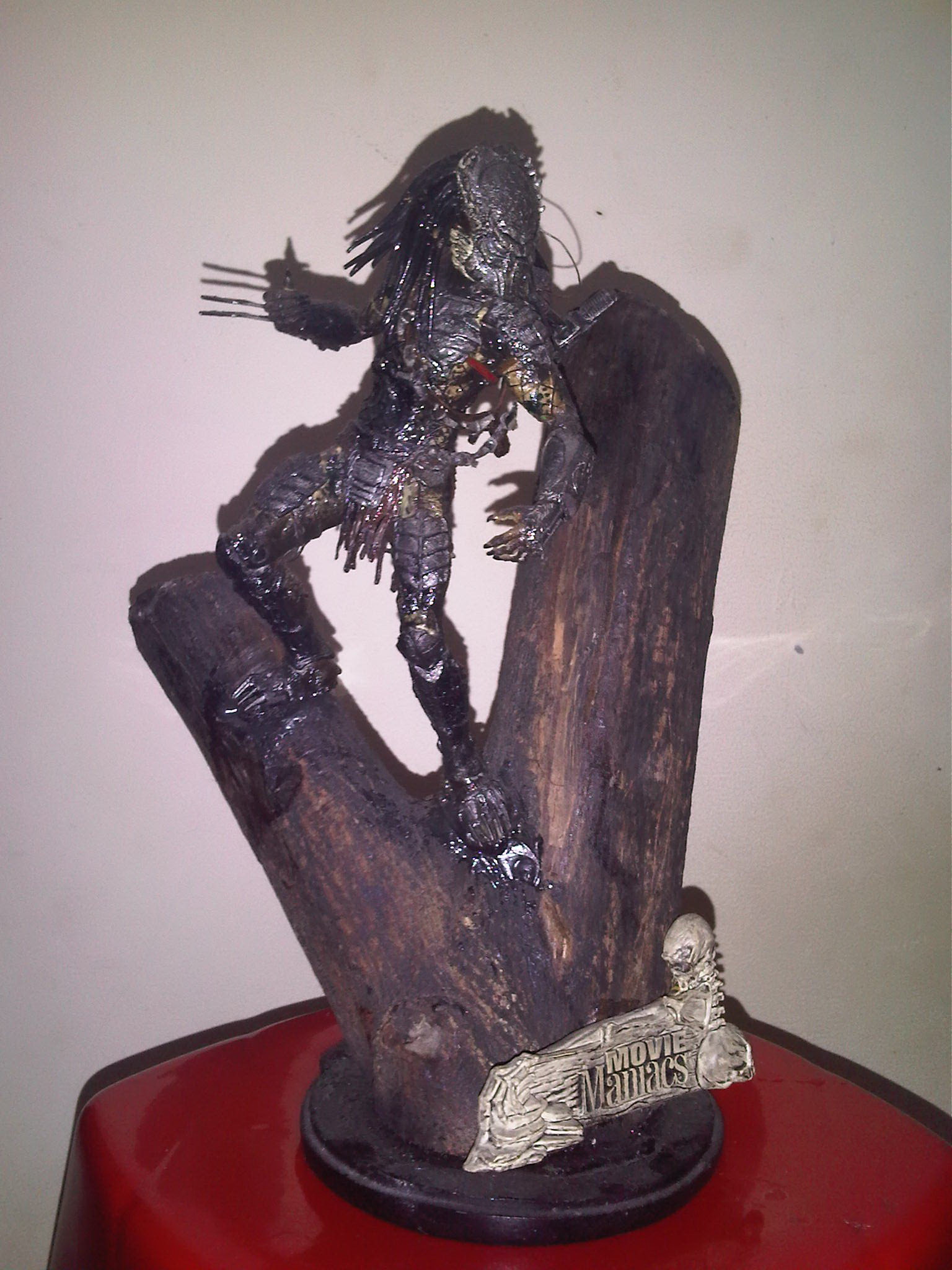 IMG01234_20110103_2328.jpg