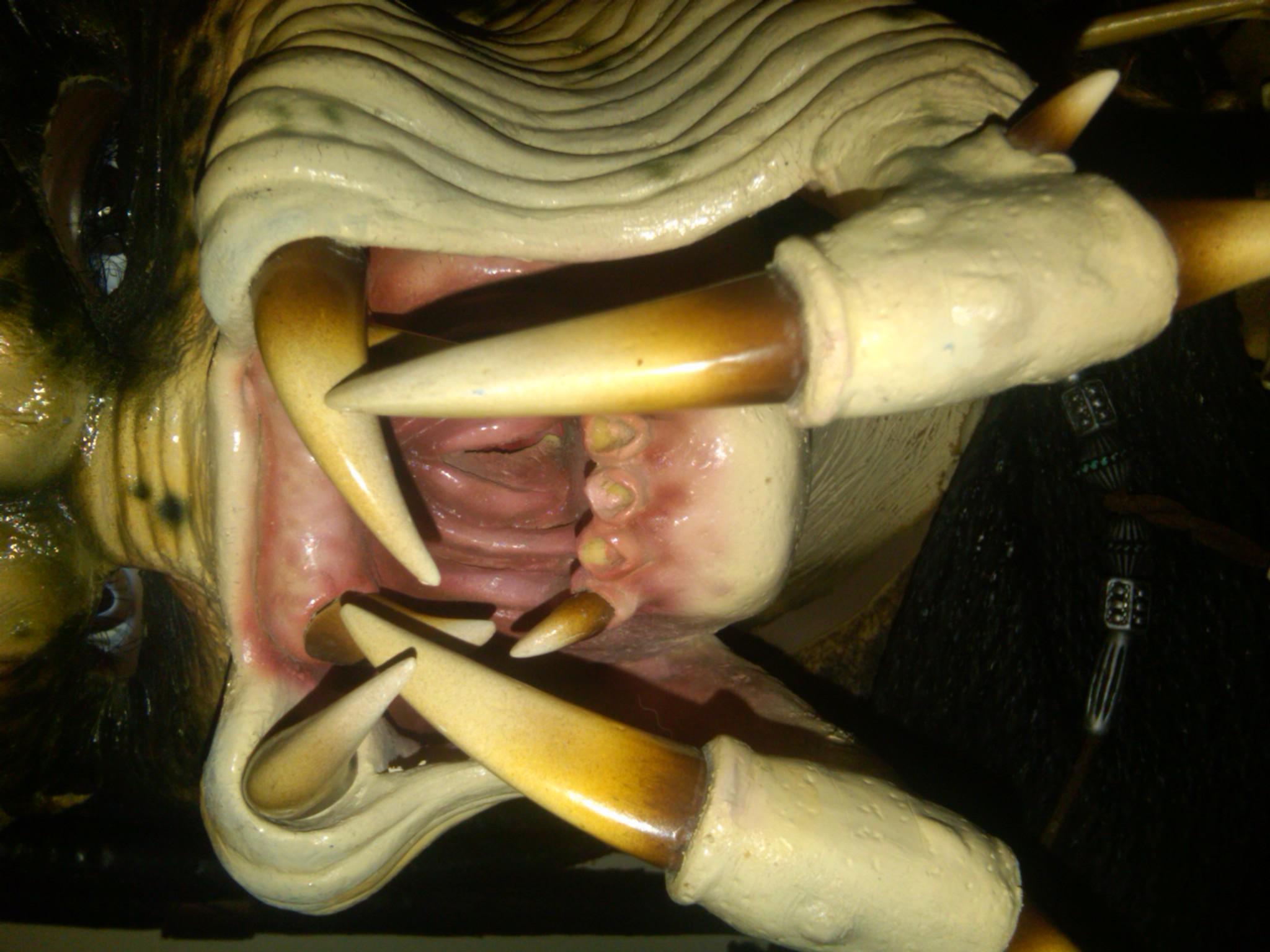 IMG02424-20111006-1348.jpg