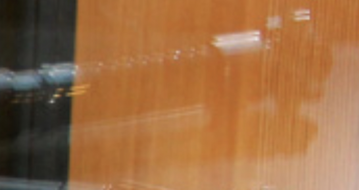 IMG_1174.jpeg
