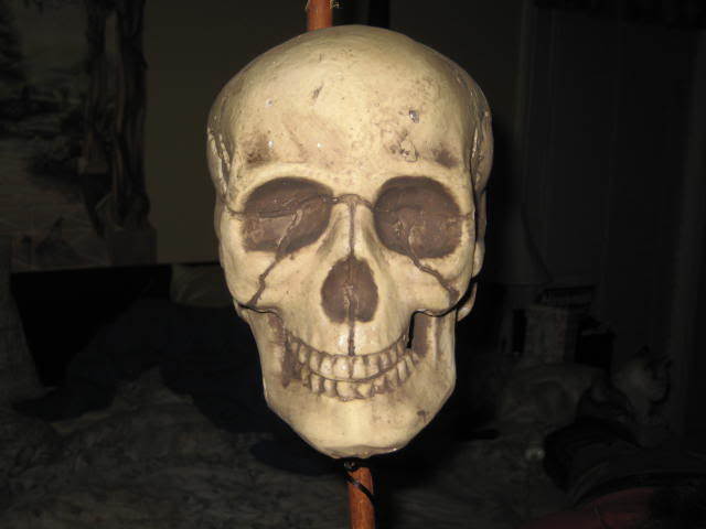 IMG_1784.jpg