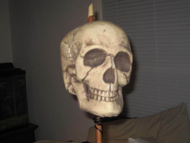 IMG_1786.jpg