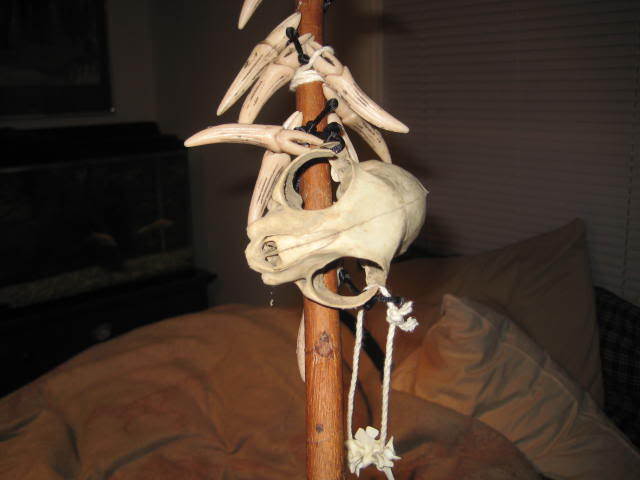 IMG_1789.jpg