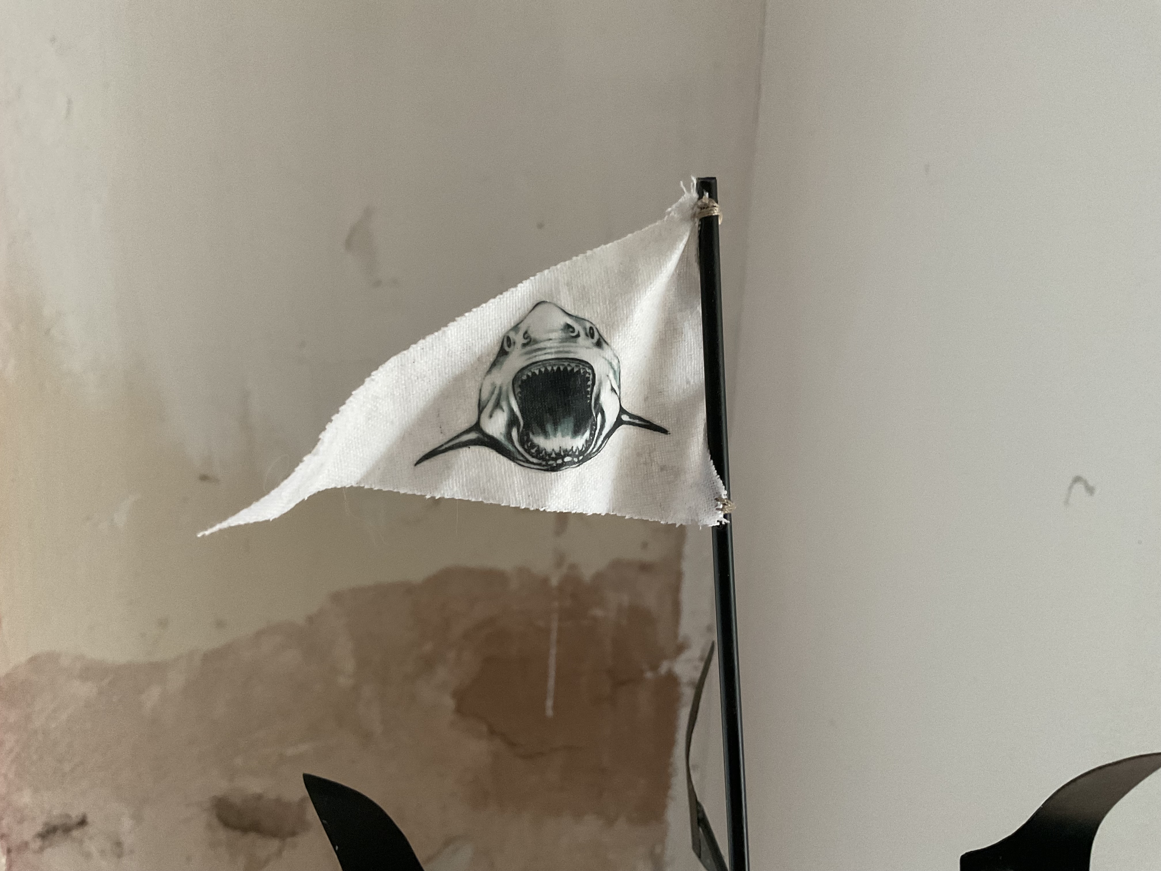IMG_1953.jpeg