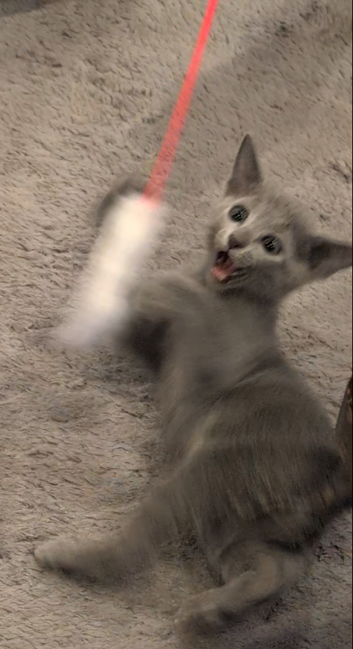 IMG_1969.jpeg