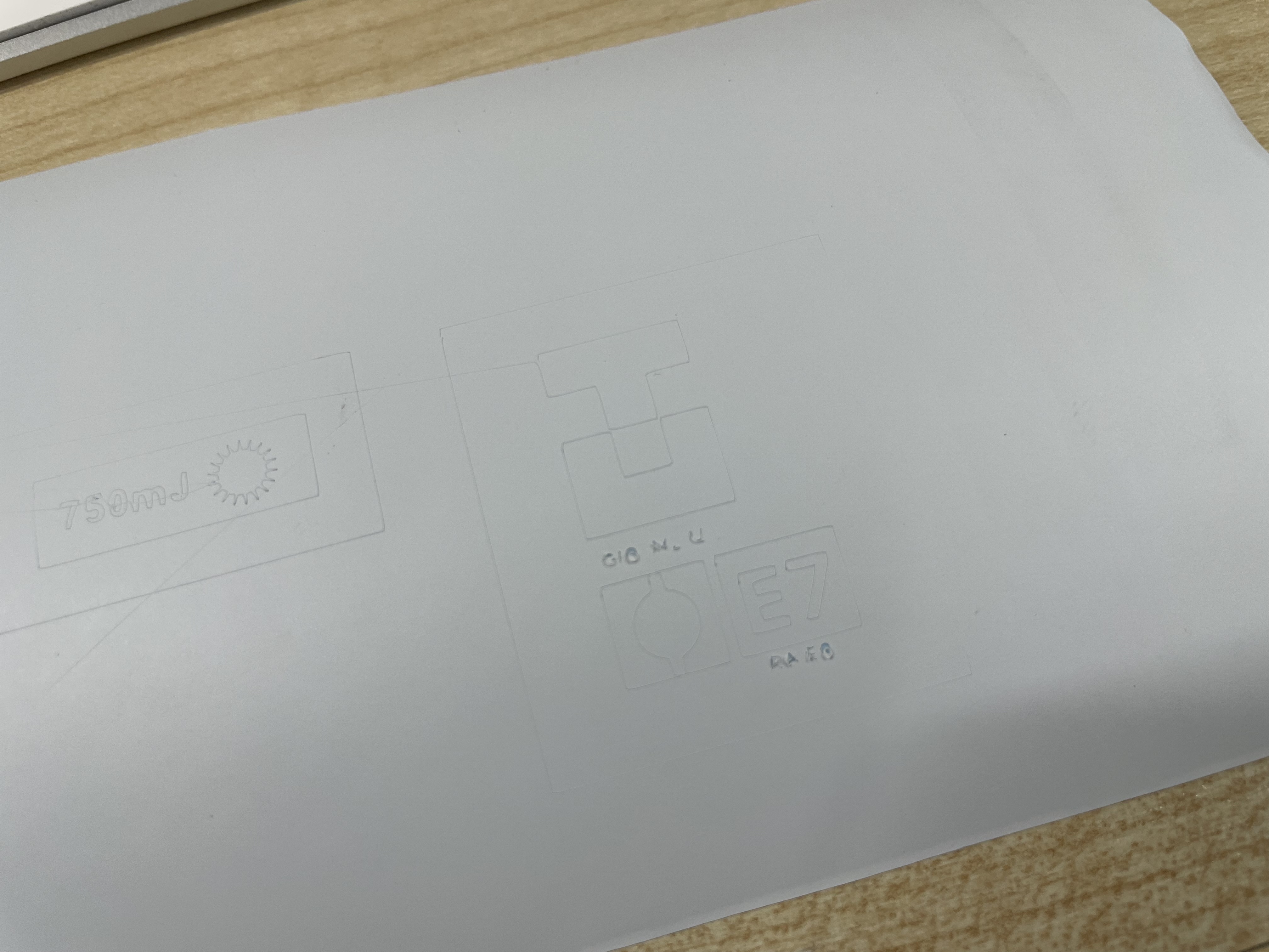 IMG_1978.jpeg