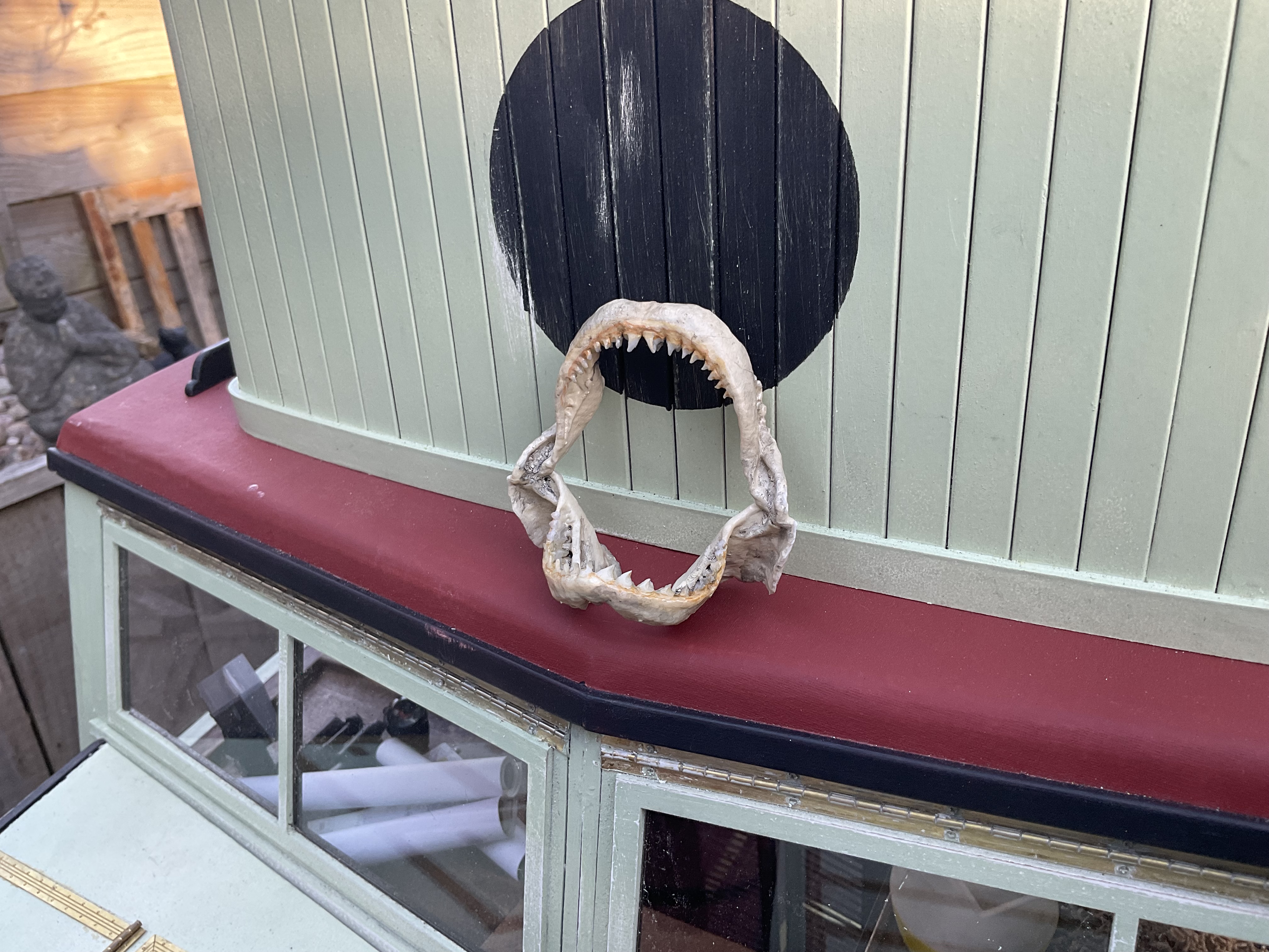 IMG_1983.jpeg