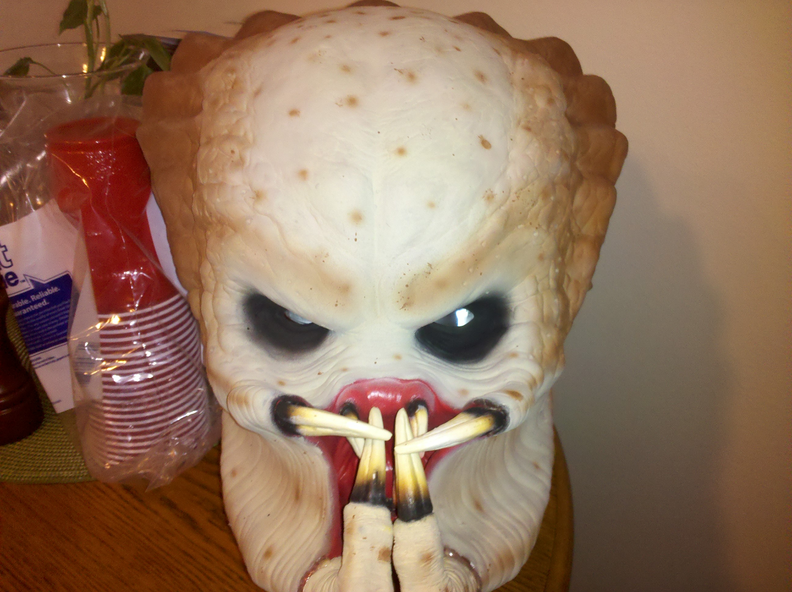 IMG_20110620_092505.jpg