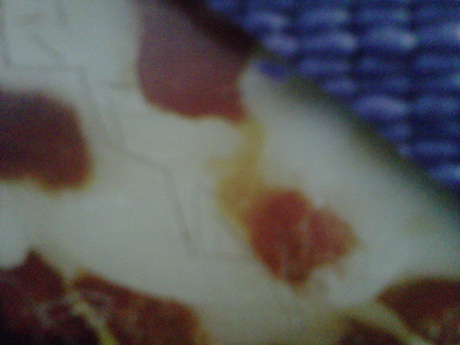 IMG_20110719_00128.jpg