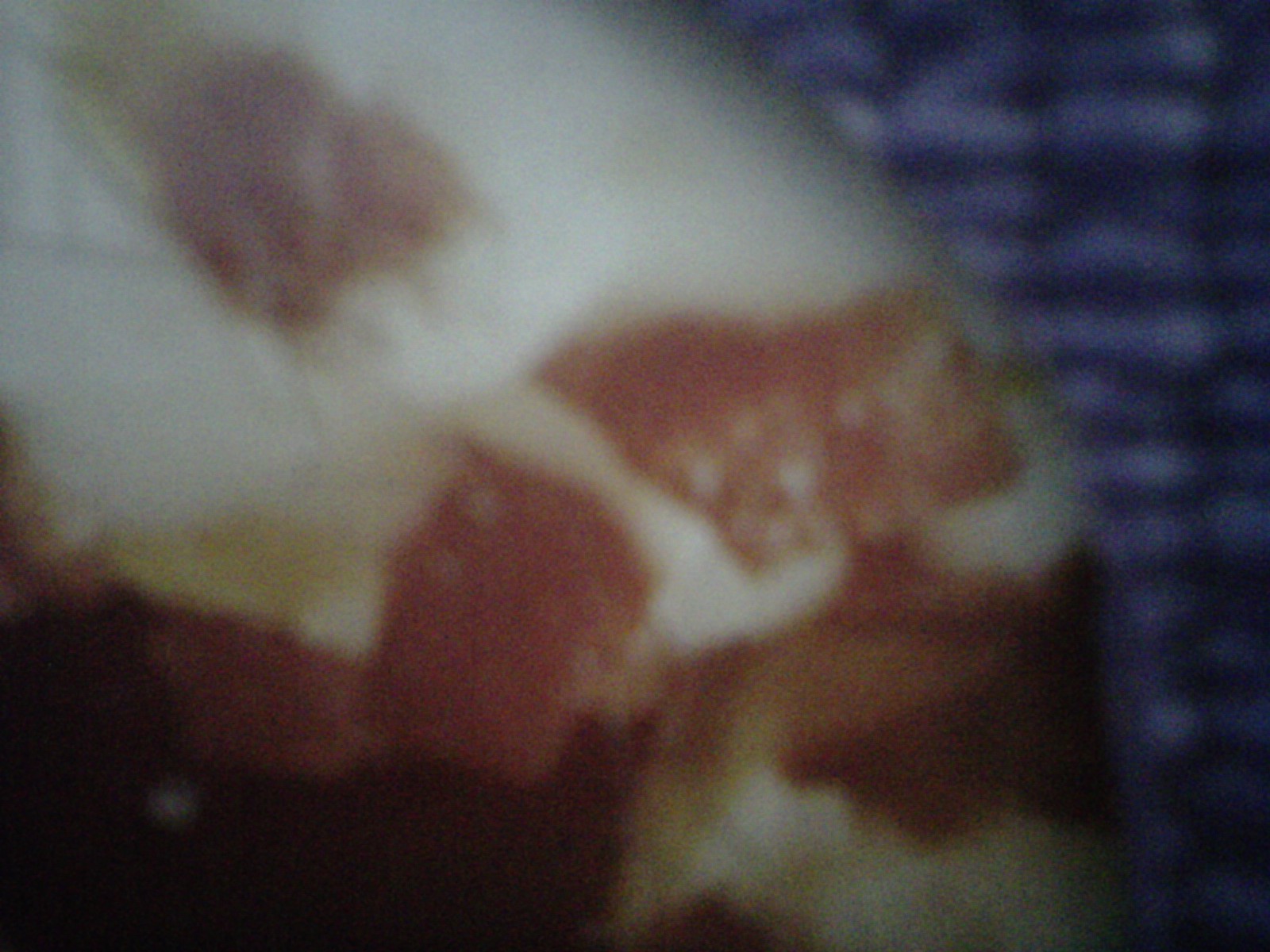 IMG_20110719_00129.jpg