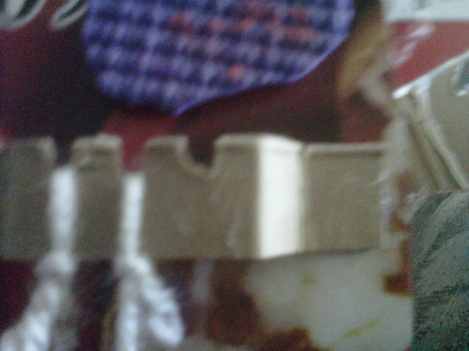 IMG_20110719_00130.jpg