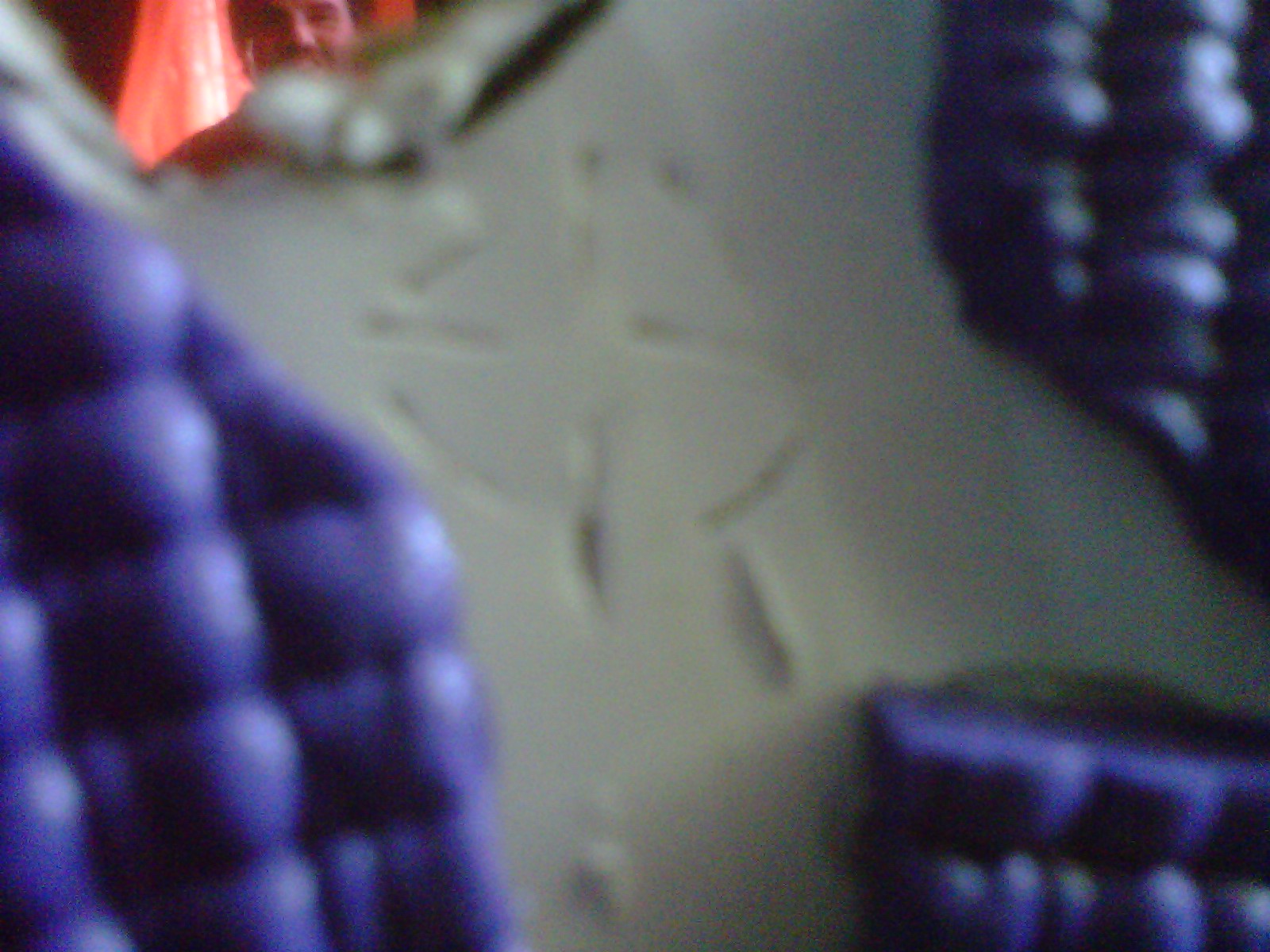 IMG_20110719_00151.jpg