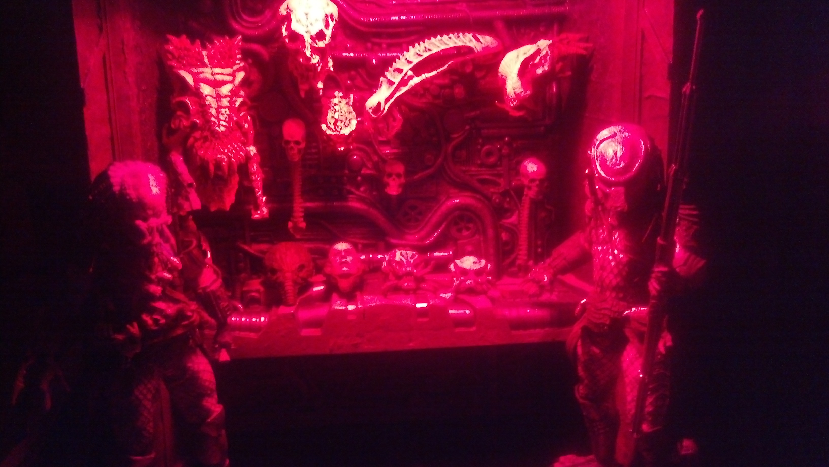 IMG_20130630_230639_698.jpg
