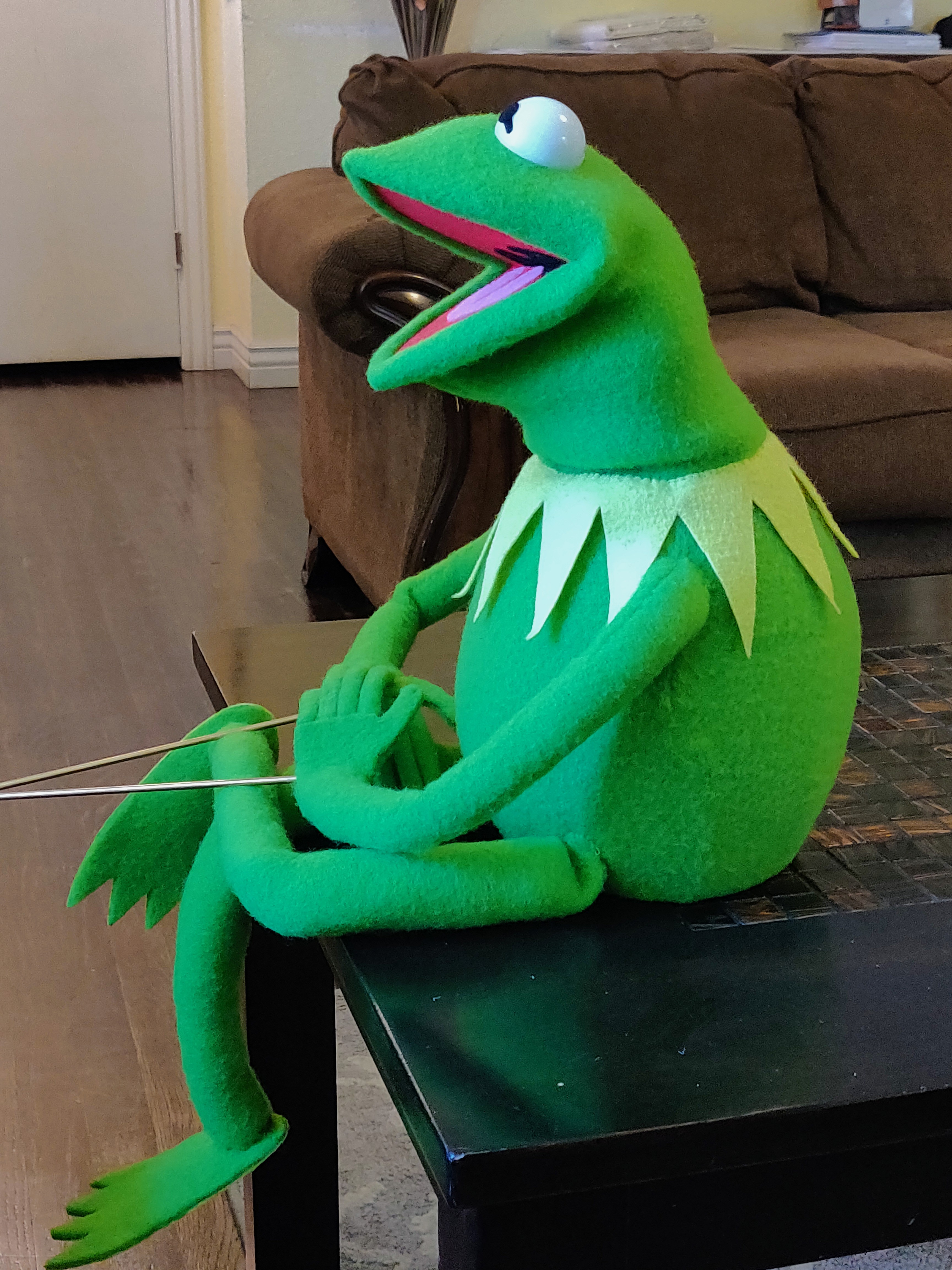 kermit the frog nuimos