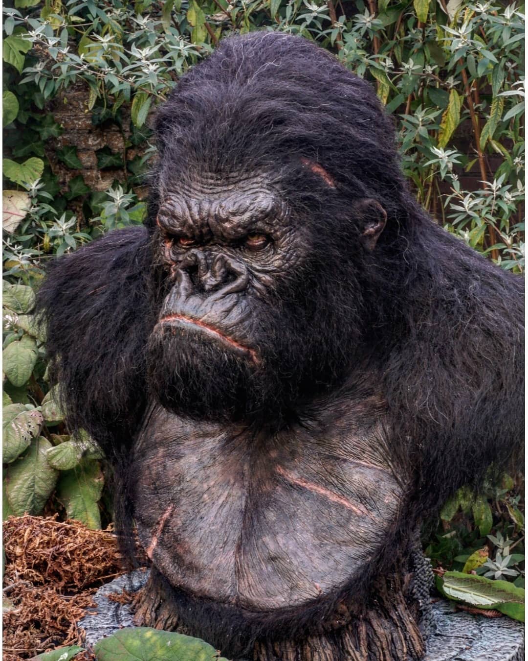 KING KONG (FINISHED) | RPF Costume and Prop Maker Community