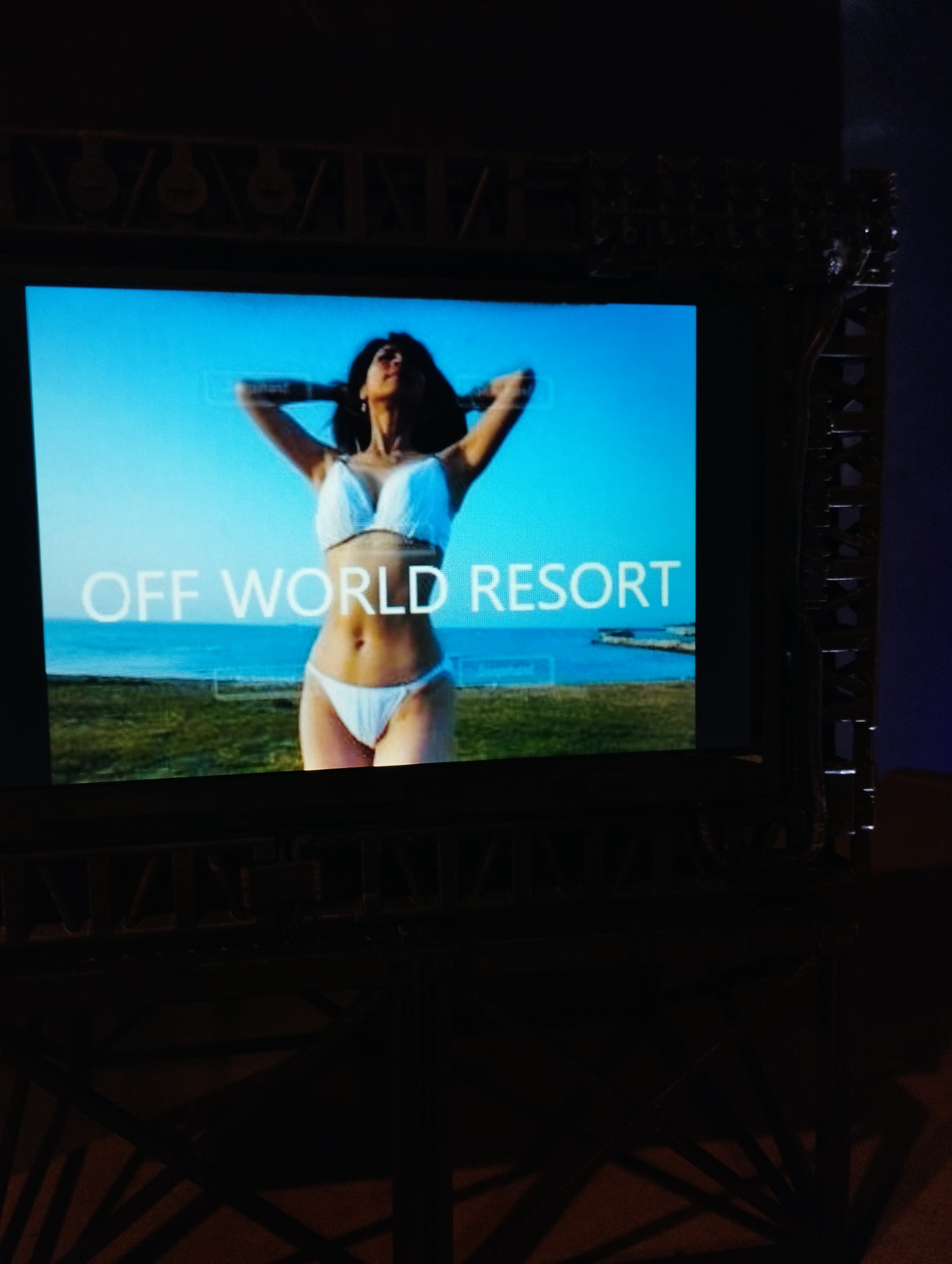 IMG_20231126_152534.jpg