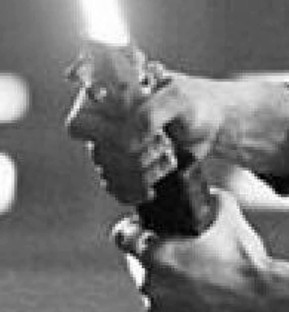 IMG_2667.jpeg