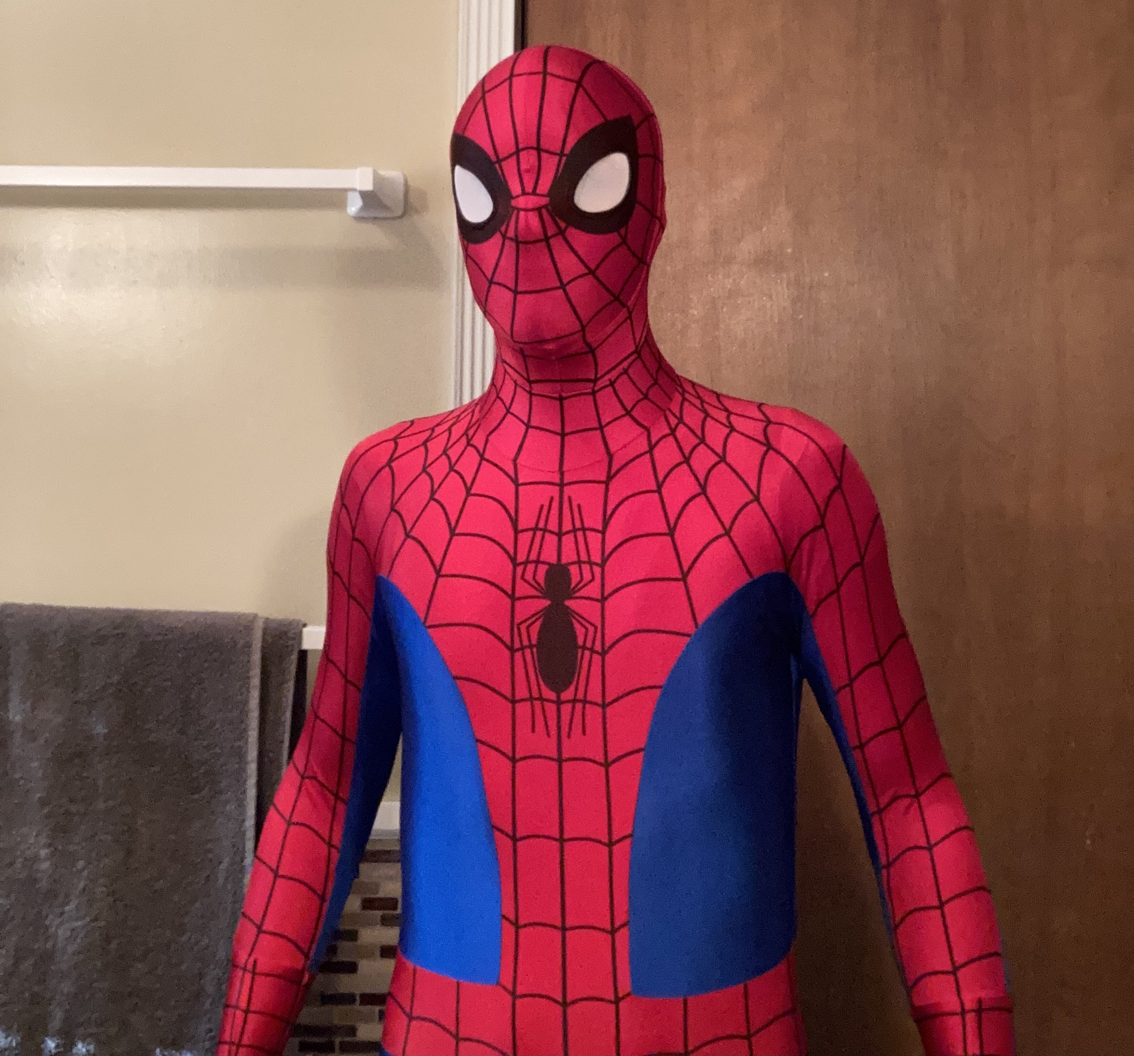 Universal Spider-Man Suit Replica | RPF Costume and Prop Maker Community