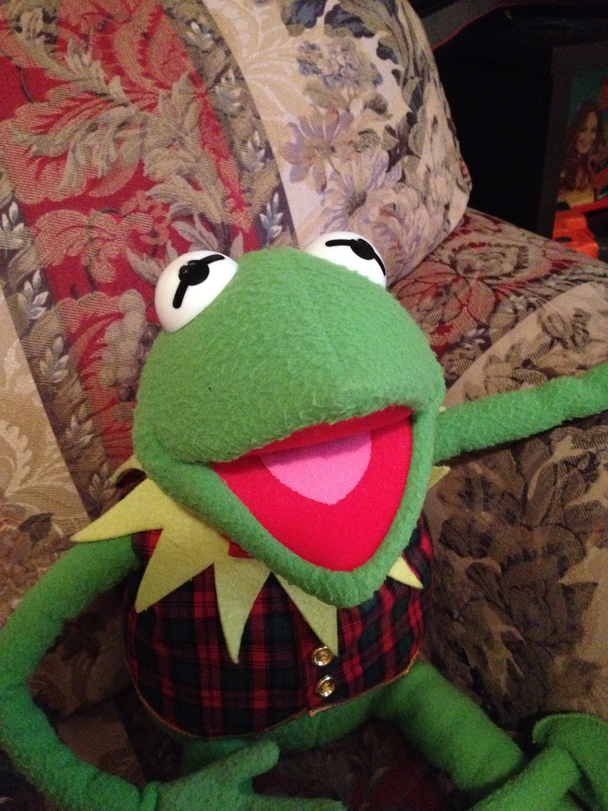 Kermit The Frog Eden Muppets Vintage Large Plush Hand Puppet Henson 23 ...