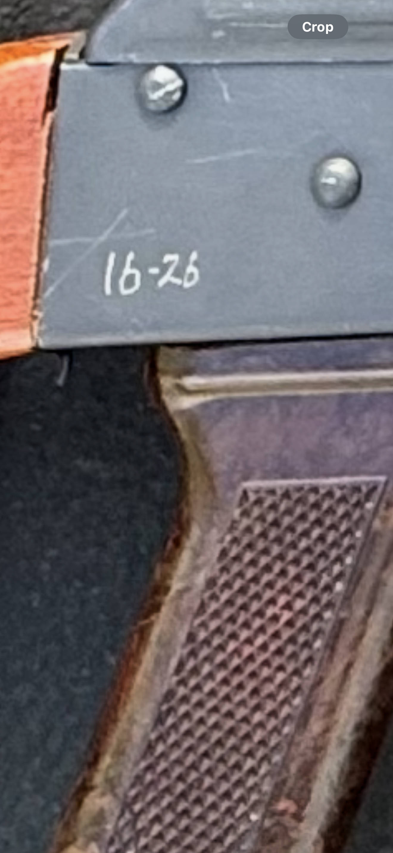 IMG_3568.png