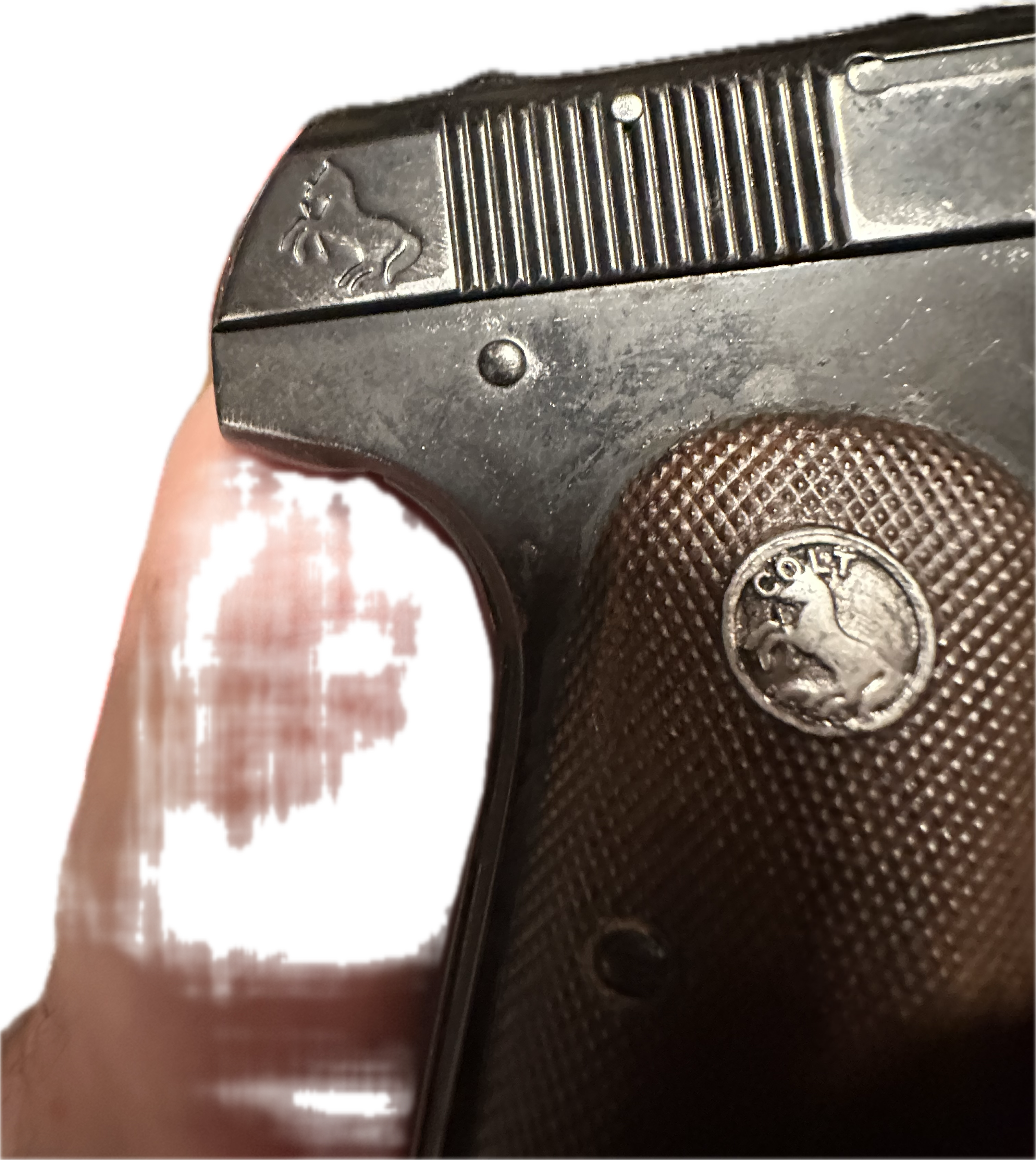 IMG_3815.png