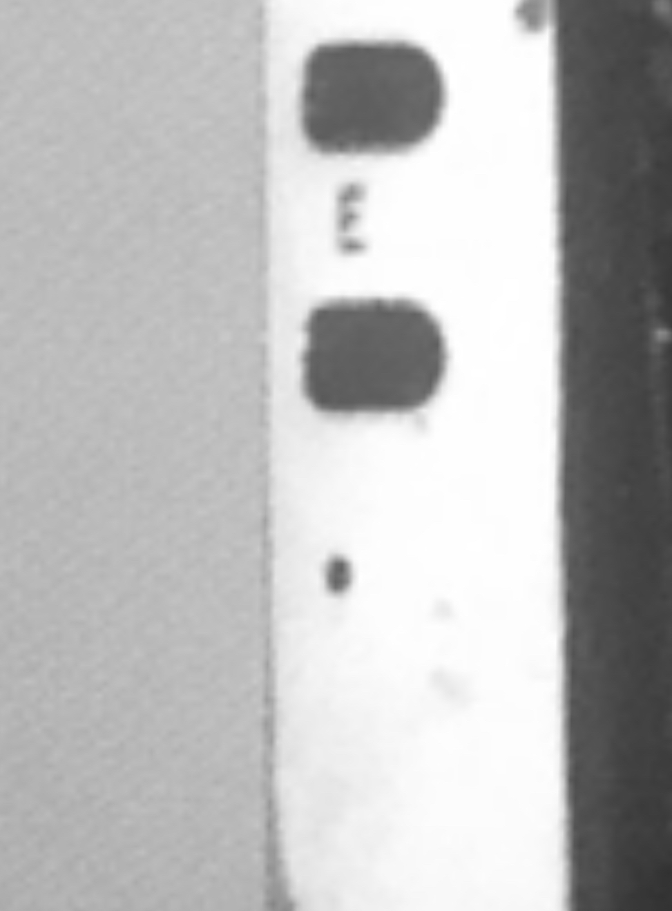 IMG_4447.jpeg