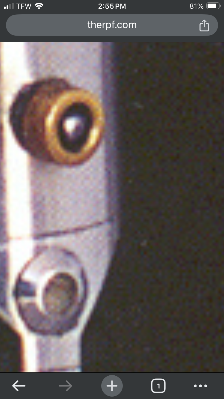 IMG_5356.png