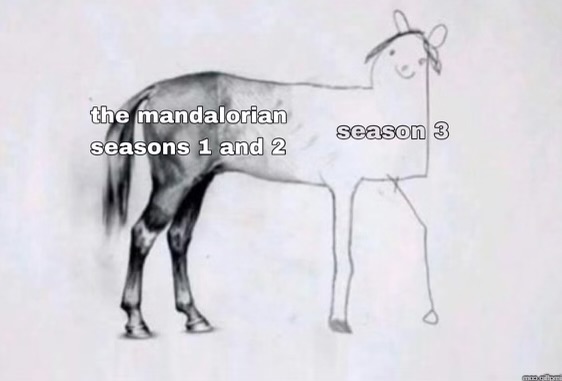 IMG_6361.jpeg