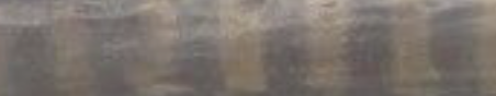 IMG_6714.png