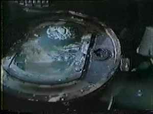 IMG_7943.jpeg