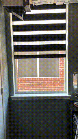 IMG_8150.gif