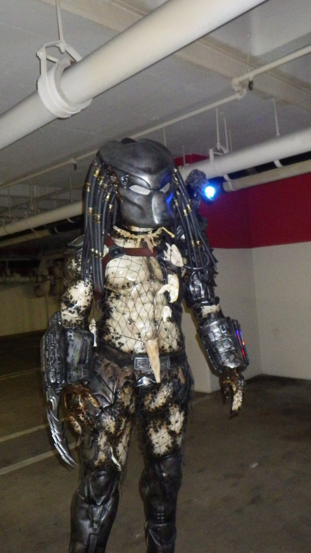IMGP0921.JPG