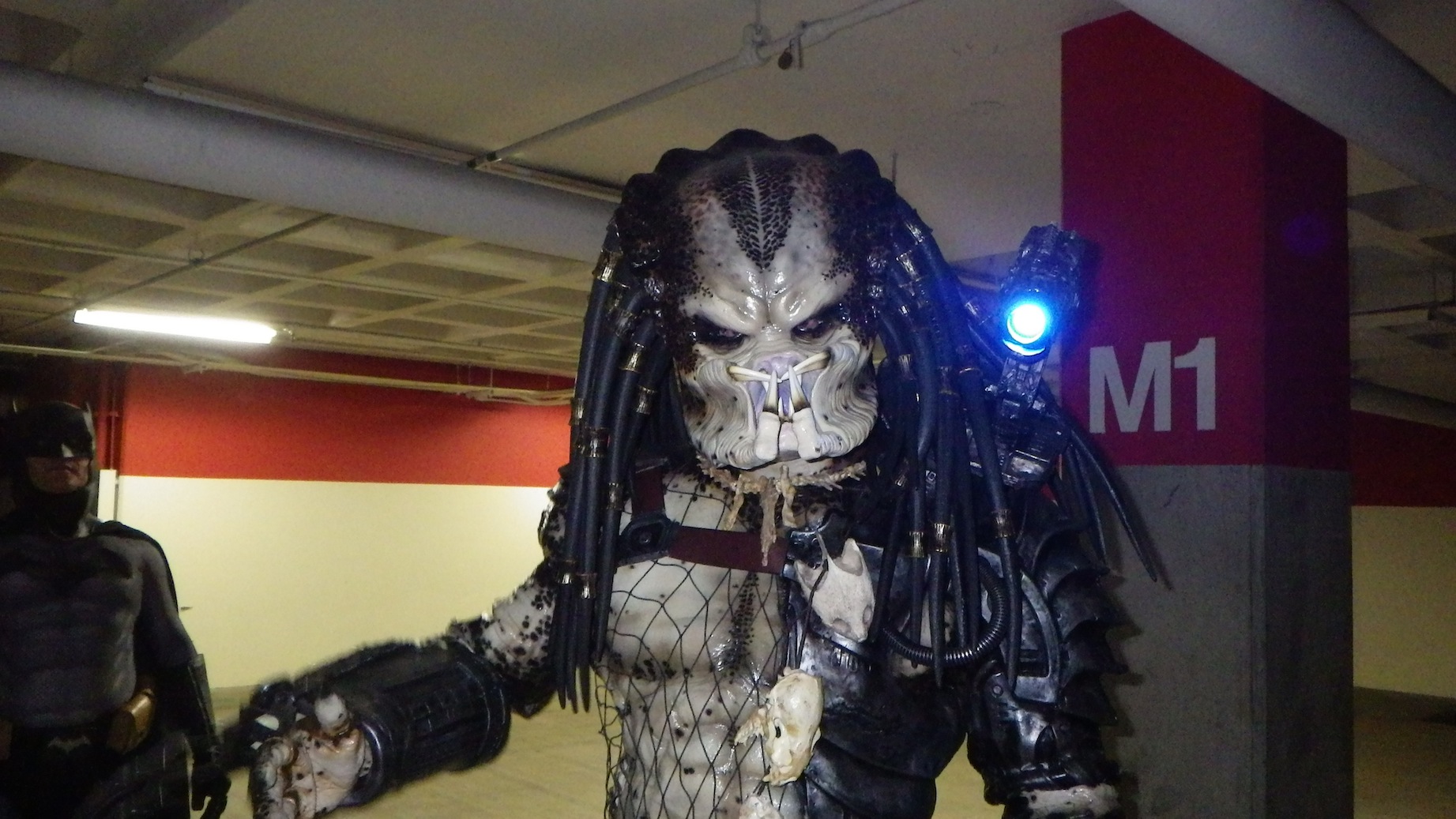 IMGP0925.JPG